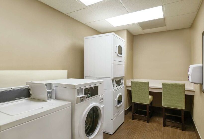 فندق Homewood Suites By Hilton St. Petersburg Clearwater