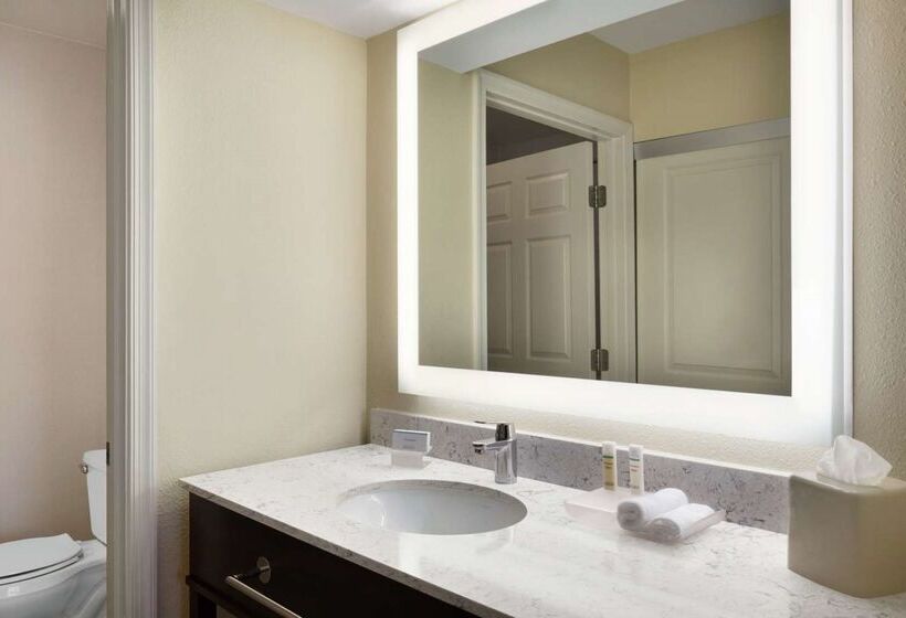 فندق Homewood Suites By Hilton St. Petersburg Clearwater