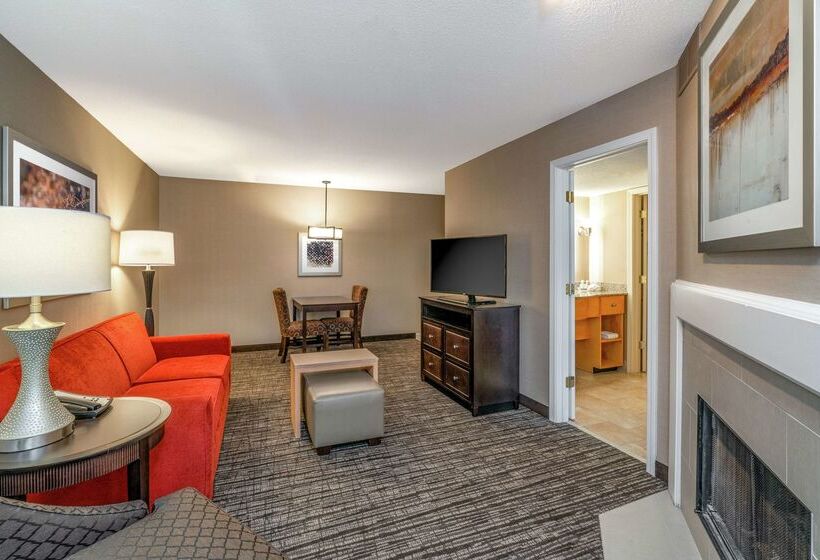 هتل Homewood Suites By Hilton Lafayette Rossville Exit