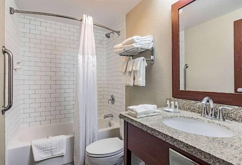 هتل Fairfield By Marriott Inn & Suites Madison South