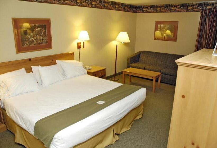 فندق Pellston Lodge