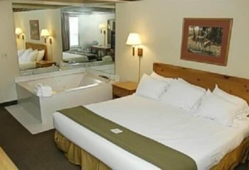 فندق Pellston Lodge