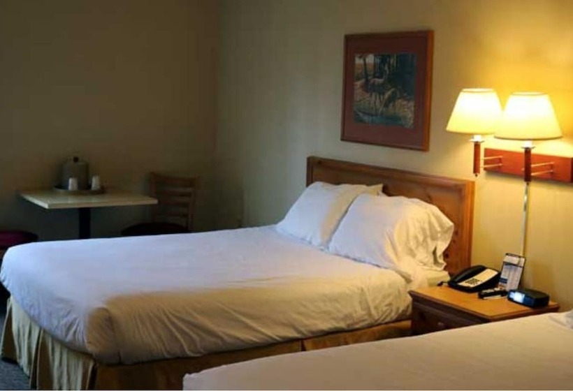 فندق Pellston Lodge