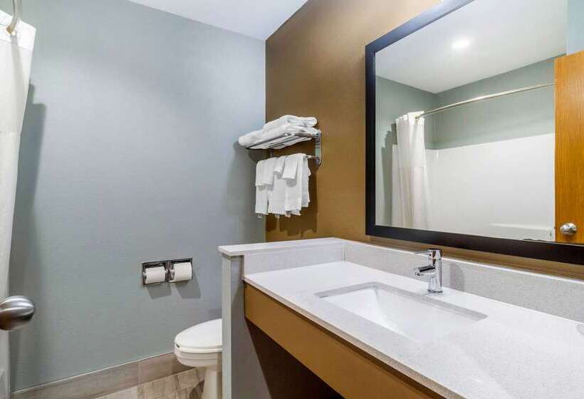 فندق Quality Inn