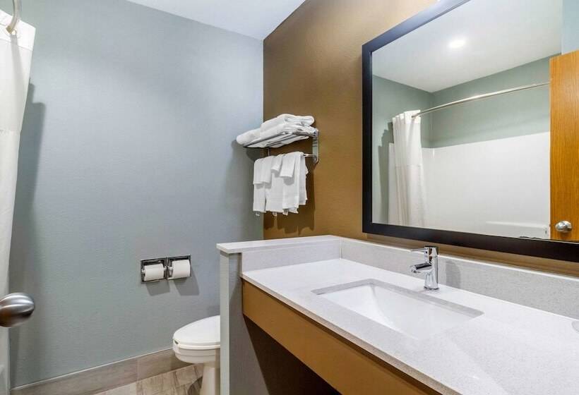 فندق Quality Inn