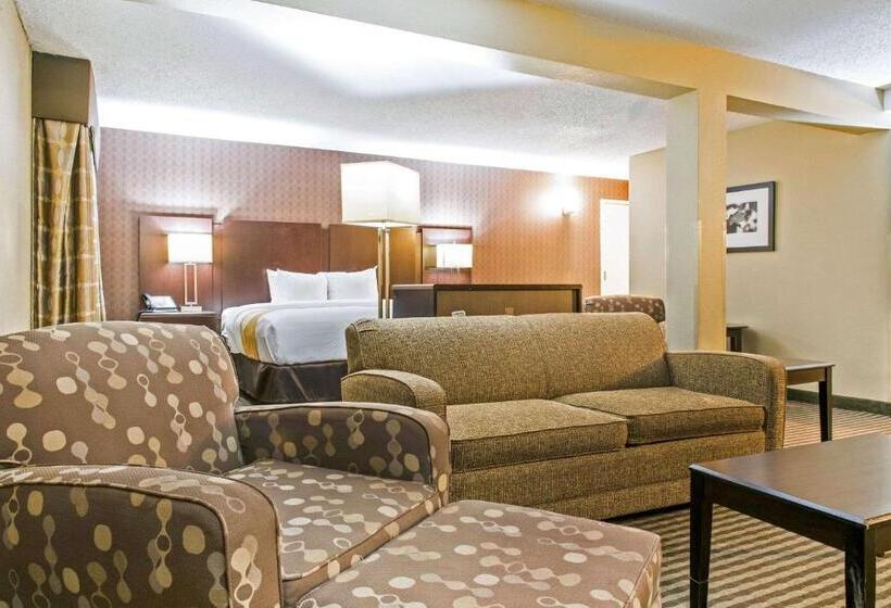 酒店 Quality Inn Festus