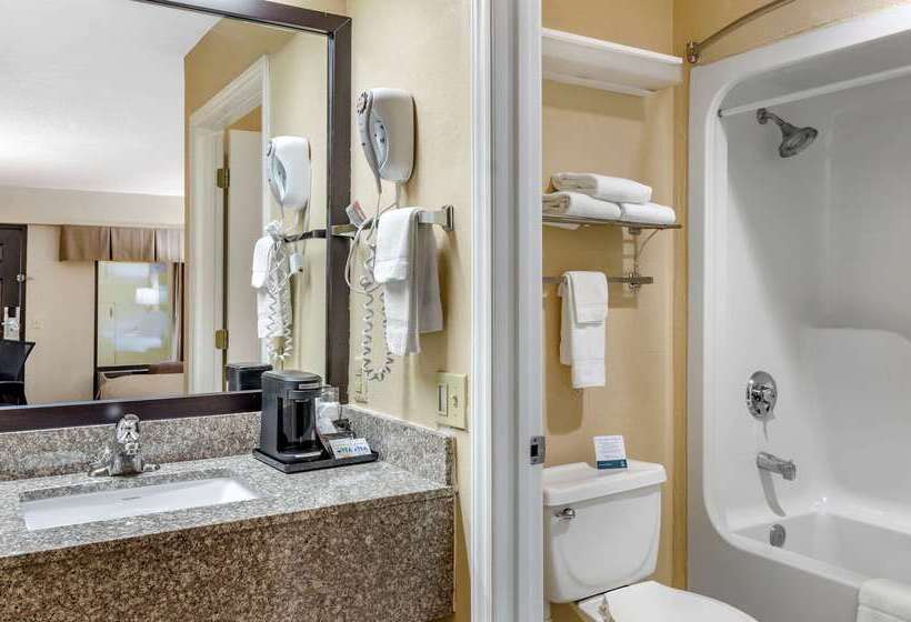 酒店 Quality Inn Hillsville
