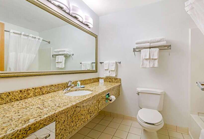Отель Quality Inn Near Monument Health Rapid City Hospital