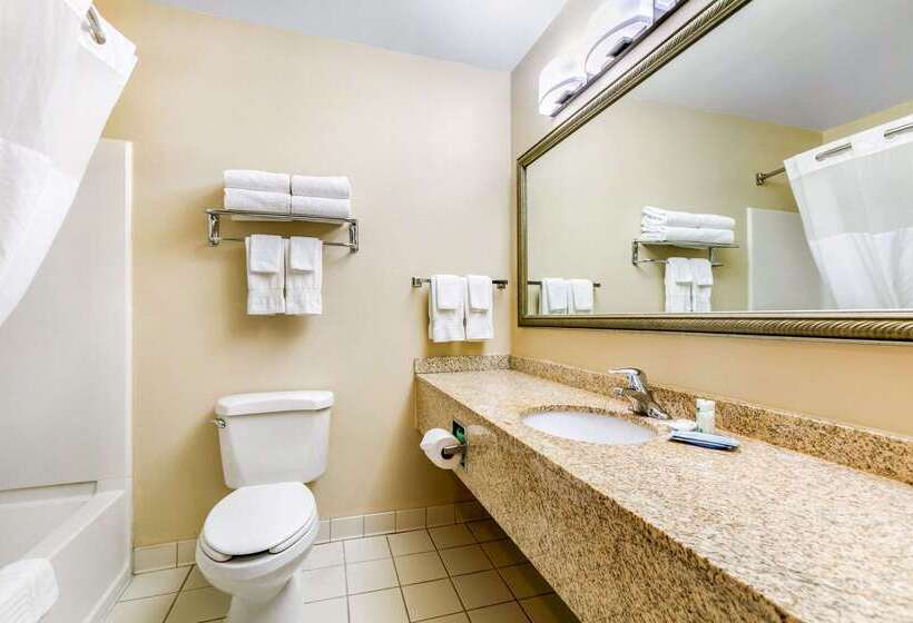 Отель Quality Inn Near Monument Health Rapid City Hospital