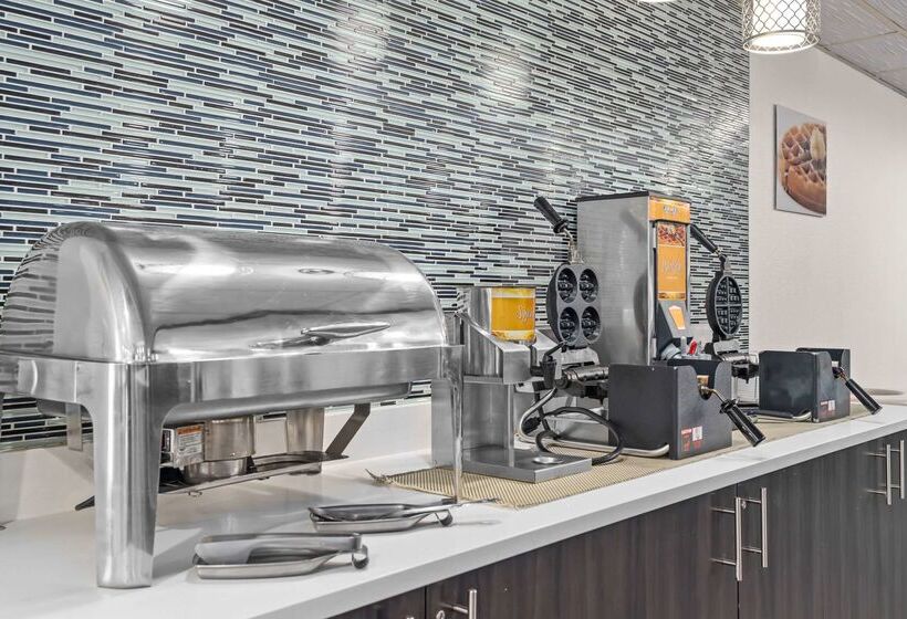 هتل Quality Inn & Suites Mall Of America  Msp Airport