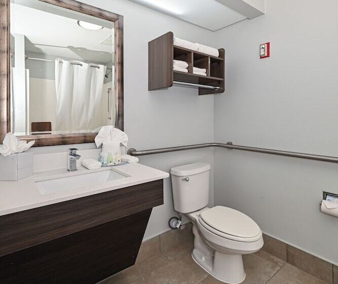 ホテル Quality Inn & Suites Matthews   Charlotte