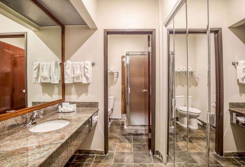 酒店 Quality Inn & Suites Seabrook  Nasa  Kemah