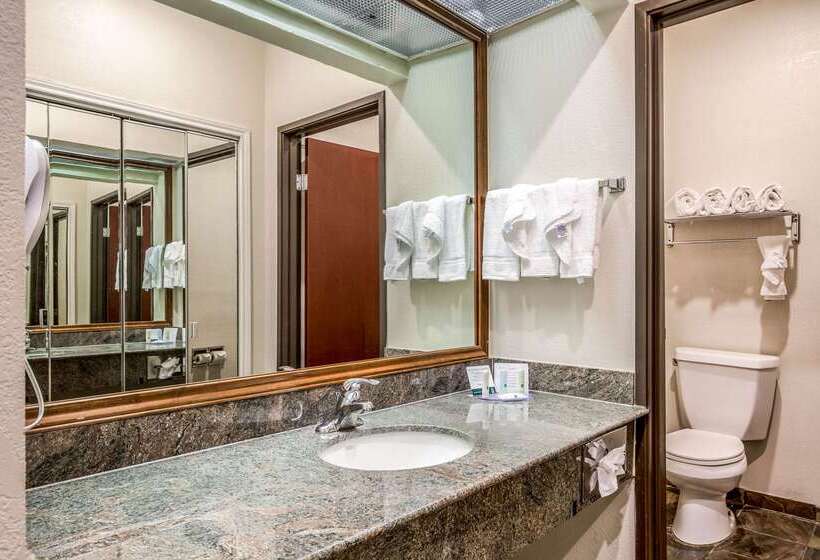 酒店 Quality Inn & Suites Seabrook  Nasa  Kemah