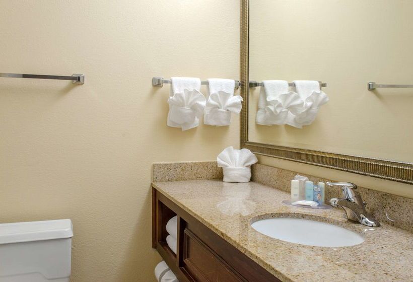 هتل Ramada By Wyndham Shreveport Airport