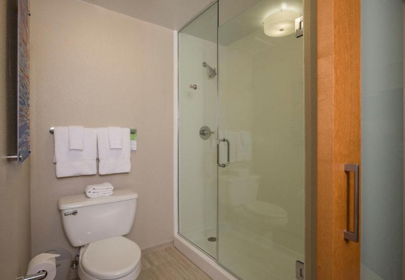 酒店 Springhill Suites By Marriott San Antonio Downtown Riverwalk Area