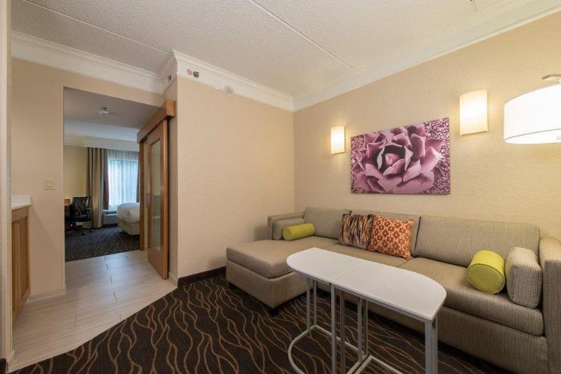 酒店 Springhill Suites By Marriott San Antonio Downtown Riverwalk Area