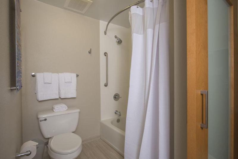 酒店 Springhill Suites By Marriott San Antonio Downtown Riverwalk Area