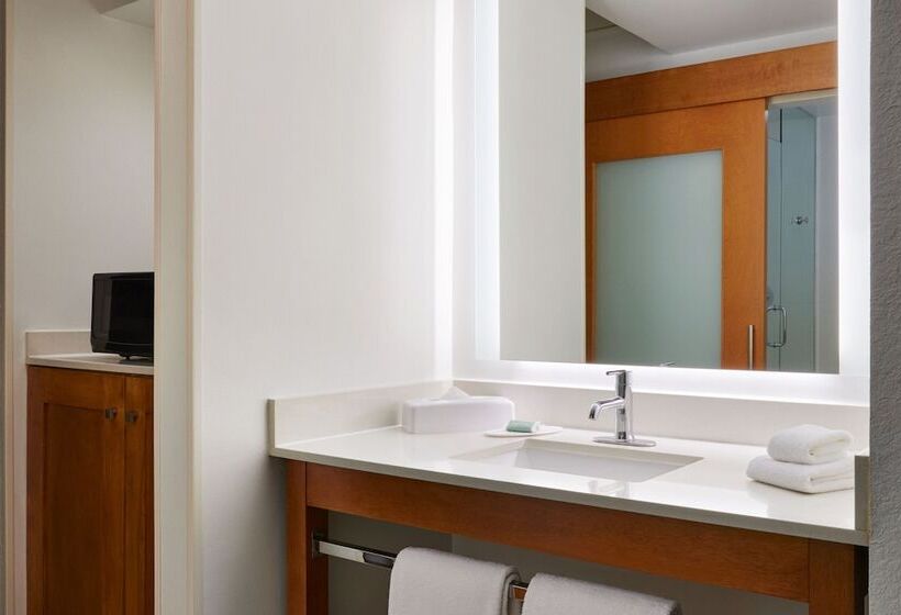 酒店 Springhill Suites By Marriott San Antonio Downtown Riverwalk Area