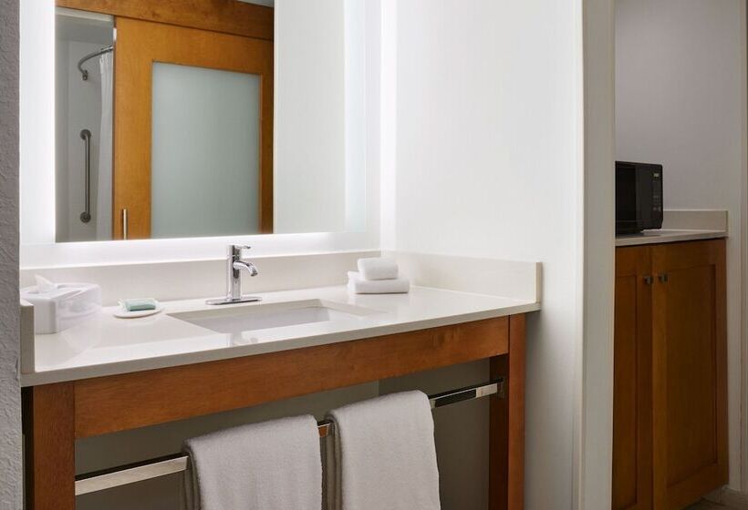 酒店 Springhill Suites By Marriott San Antonio Downtown Riverwalk Area