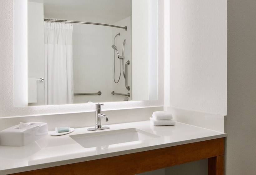 酒店 Springhill Suites By Marriott San Antonio Downtown Riverwalk Area