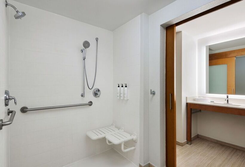 酒店 Springhill Suites By Marriott San Antonio Downtown Riverwalk Area