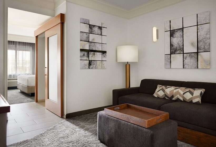 酒店 Springhill Suites By Marriott San Antonio Downtown Riverwalk Area