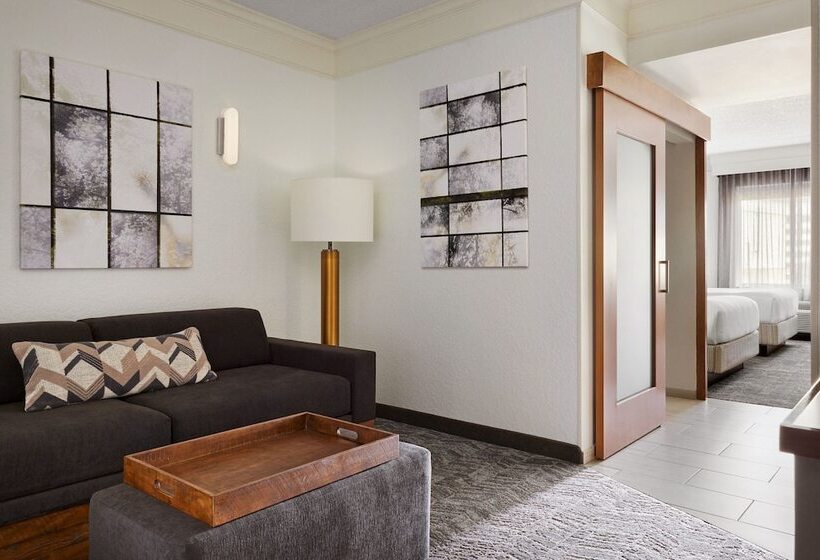 酒店 Springhill Suites By Marriott San Antonio Downtown Riverwalk Area