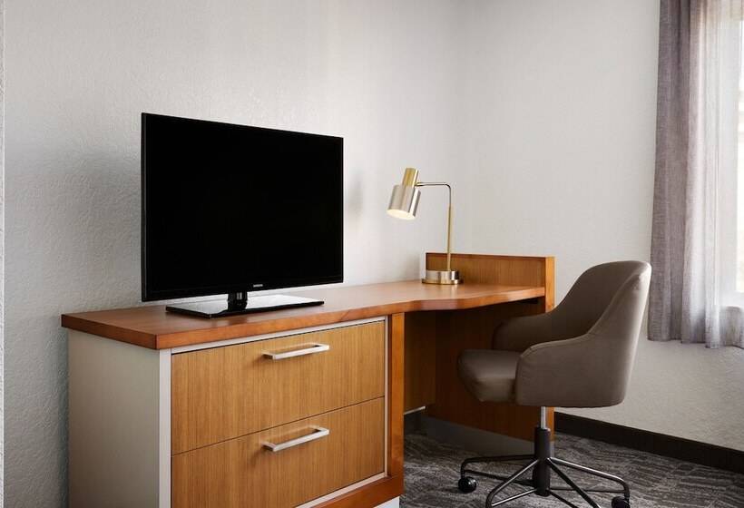 酒店 Springhill Suites By Marriott San Antonio Downtown Riverwalk Area