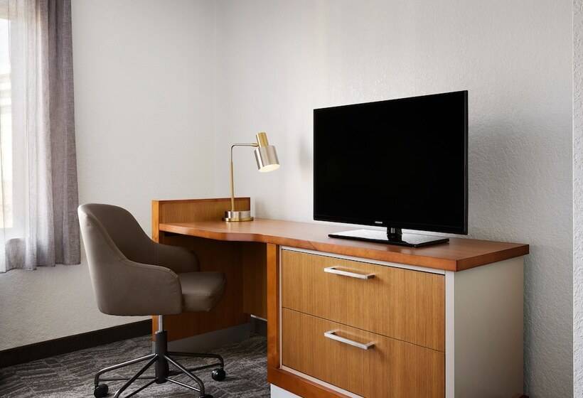 酒店 Springhill Suites By Marriott San Antonio Downtown Riverwalk Area