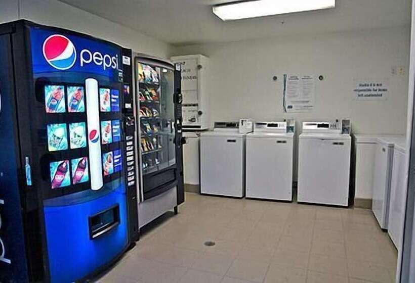 酒店 Studio 6 Mountlake Terrace, Wa   Seattle