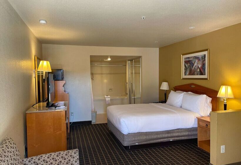 Surestayplus Hotel By Best Western San Jose Central City