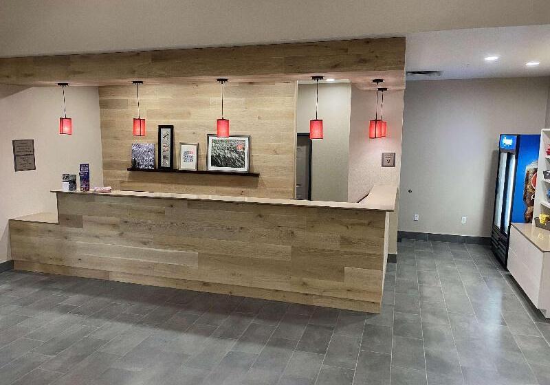 בית מלון כפרי Country Inn & Suites By Radisson, Rj Stadium   Tampa Airport East