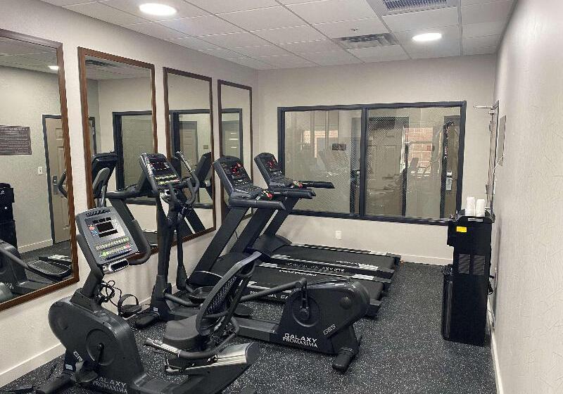 בית מלון כפרי Country Inn & Suites By Radisson, Rj Stadium   Tampa Airport East