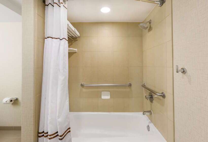 هتل Wyndham New Orleans  French Quarter