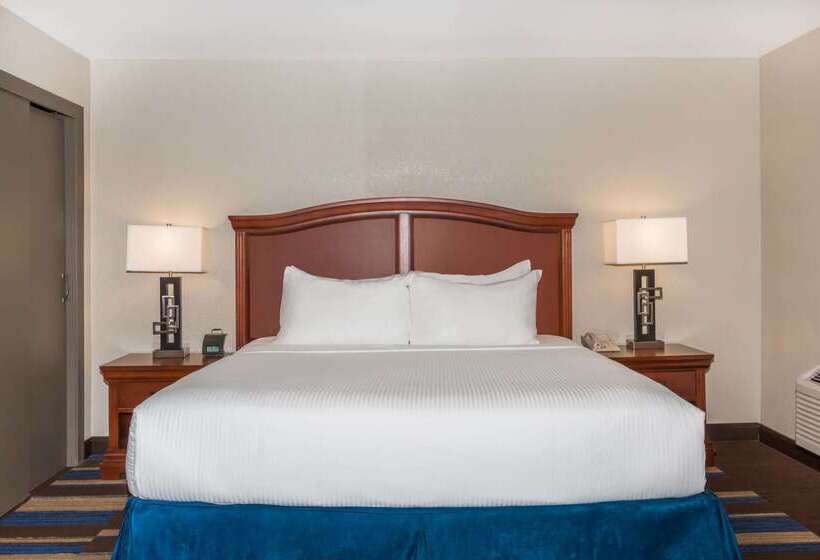 هتل Wyndham New Orleans  French Quarter