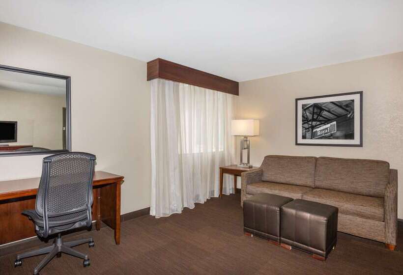 هتل Wyndham New Orleans  French Quarter