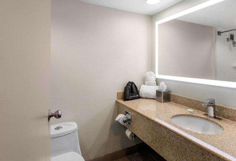 Radisson Hotel Grand Rapids Riverfront