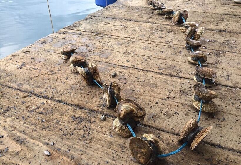 Apartments Božović