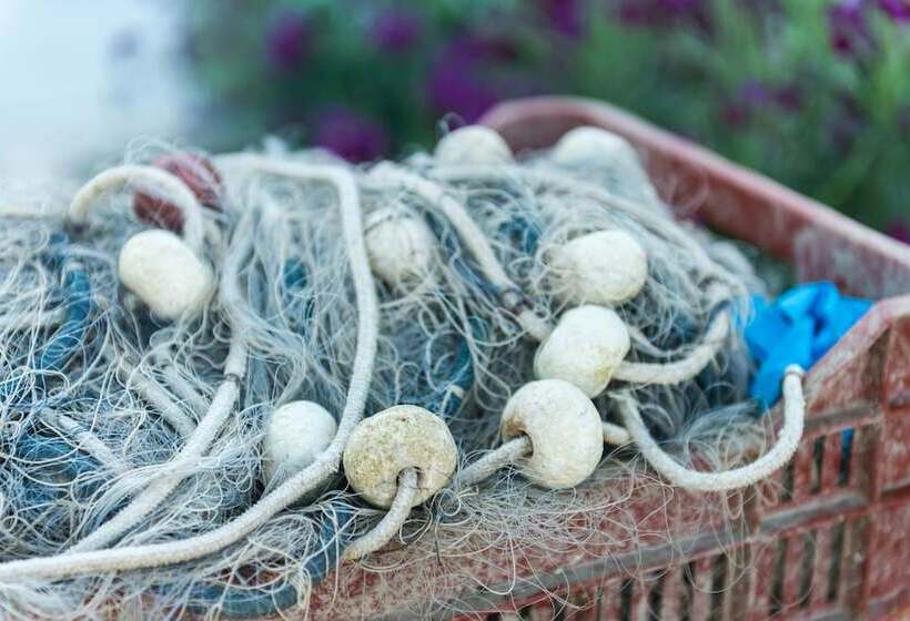 Apartments Božović