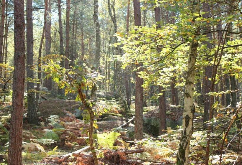 مبيت وإفطار Ma Gentilhommière