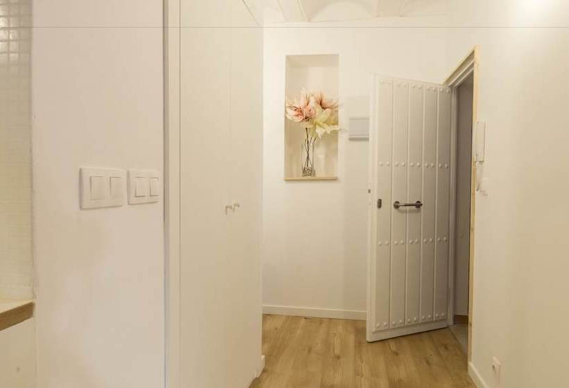 Carrera Luxury Santa Catalina