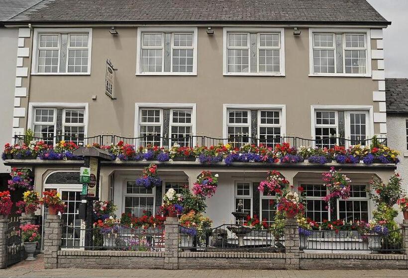 פנסיון Clooneen House