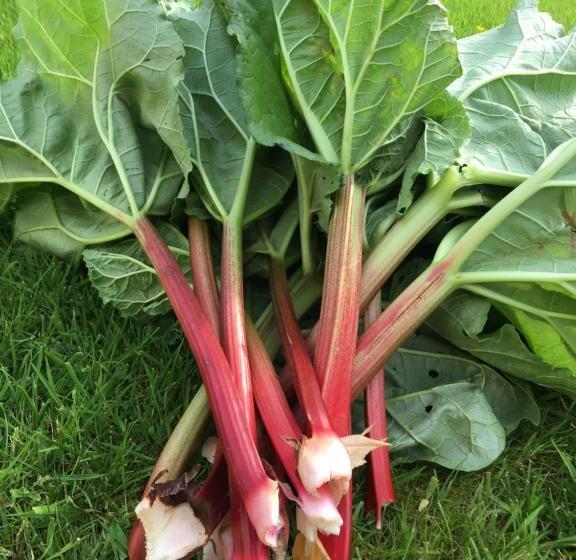 Beckfoot Retreat B&b