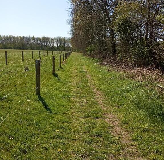 Bed and Breakfast Bij Maus