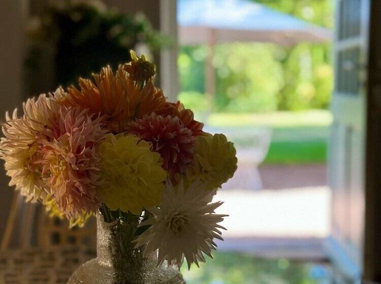 Bed and Breakfast Côté Park