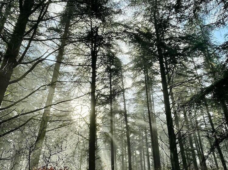 مبيت وإفطار Côté Park