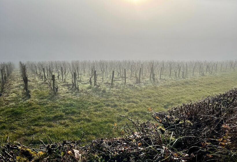 Bed and Breakfast Côté Park