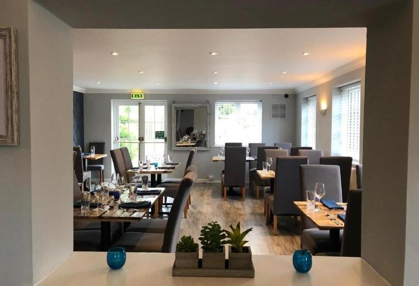 住宿加早餐  The Dapper Spaniel