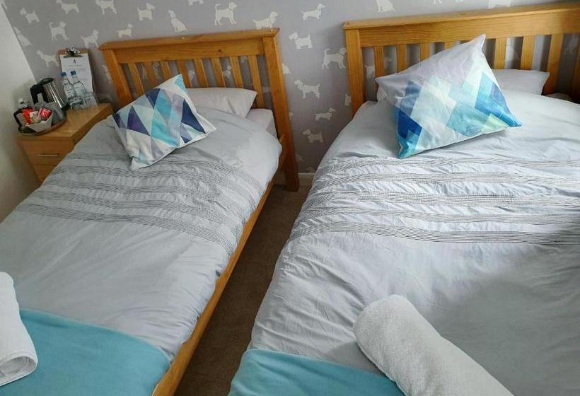 住宿加早餐  The Dapper Spaniel