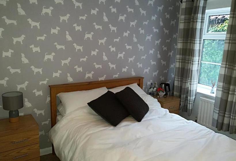 住宿加早餐  The Dapper Spaniel